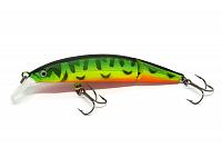 WOUNDED Minnow