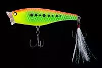 POPPER Z